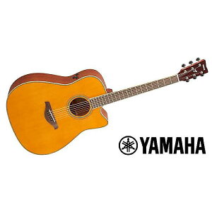 YAMAHA ( }n ) / FGC-TA VTċx݃Z[