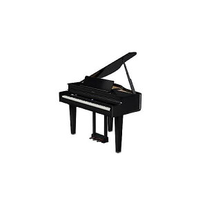 ROLAND ( ���[�����h ) / GP-6-PES�ċx�X�y�V����