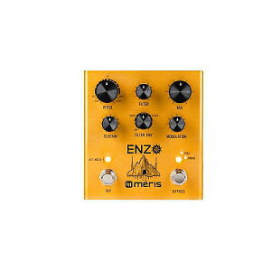 Meris ( X ) / ENZO }`{CXEVZTCU[y_ċx݃Z[