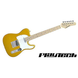 PLAYTECH ( vCebN ) / TL250 Maple Goldċx݃Z[