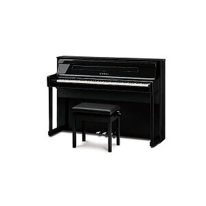 KAWAI ( ͍y퐻쏊 ) / CA901EP dqsAmċxXyV