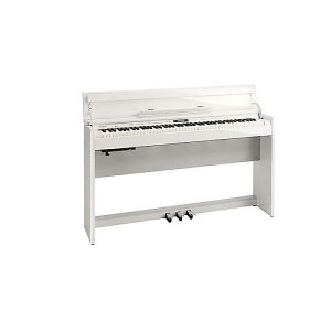 ROLAND ( [h ) / DP603-PWS dqsAmċx݃Z[