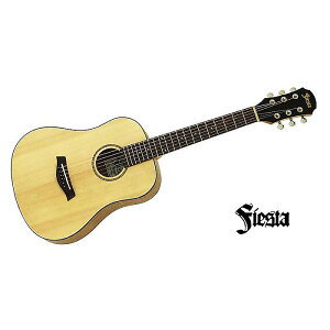 FIESTA ( tBGX^ ) / FIESTA FST-MINI Nċx݃Z[