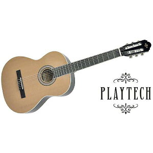 PLAYTECH ( �v���C�e�b�N ) / CG50�@�N���V�b�N�M�^�[�ċx�݃Z�[��