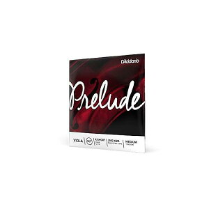 DADDARIO ( �_�_���I ) / J913 XSM Prelude �r�I���� G�� Extra Short Scale Medium�ċx�X�y�V����