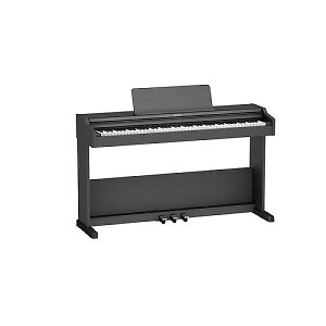 ROLAND ( ローランド ) / RP107夏休スペシャル