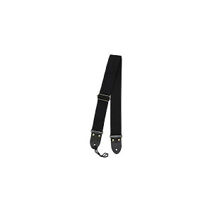 ARIA ( AA ) / SPS-2000 Blackċx݃Z[