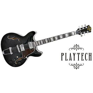 PLAYTECH ( vCebN ) / SA10 TBKċx݃Z[