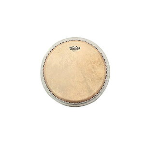 REMO(����) / M7-1106-S6-SD003 �X�L���f�B�[�v �J�[�t�X�L���O���t�B�b�N