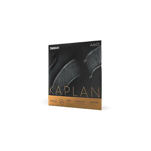 DADDARIO ( �_�_���I ) / KA411 LM Kaplan AMO �r�I���� A�� Long Scale Medium�ċx�X�y�V����