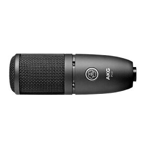AKG ( �A�[�J�[�Q�[ ) / P120 �R���f���T�[�}�C�N�ċx�݃Z�[��