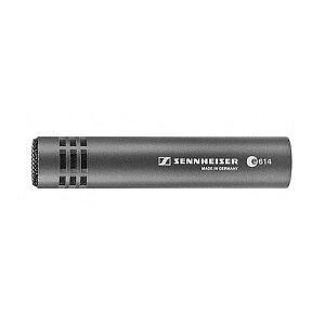 SENNHEISER ( [nCU[ ) / E614ċx݃Z[