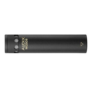 AUDIX ( �I�[�f�B�b�N�X ) / M1250B�ċx�݃Z�[��