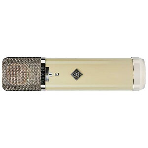 Golden Age Project ( �S�[���f���G�C�W�v���W�F�N�g ) / GA ELA M 251E�ċx�݃Z�[��