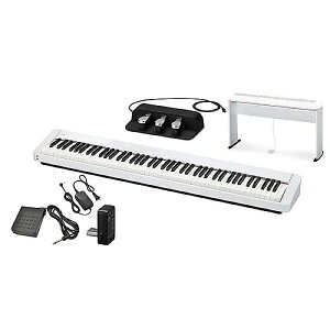 CASIO ( JVI ) / PX-S1100 WE X^hEy_ZbgċxXyV