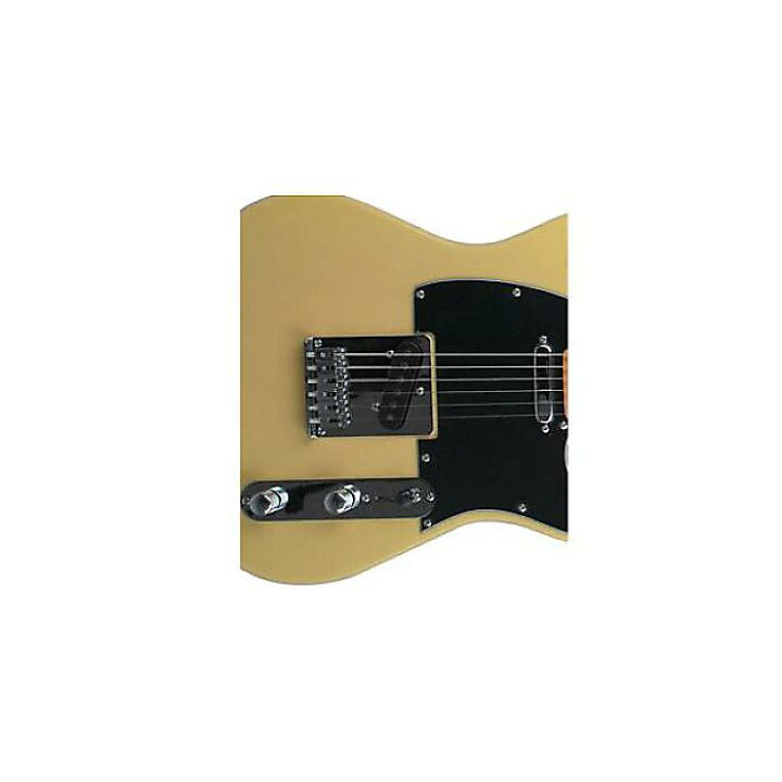 楽天市場】Tagima Guitars ( タジマギターズ ) / TW-55 LF BK 