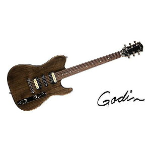 GODIN GUITAR ( S_M^[ ) / RADIUM CARBON BLACK RNċx݃Z[