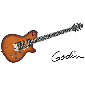 GODIN GUITAR ( S_M^[ ) / xtSA Lightburst Flameċx݃Z[