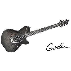 GODIN GUITAR ( S_M^[ ) / xtSA Trans Black Flameċx݃Z[