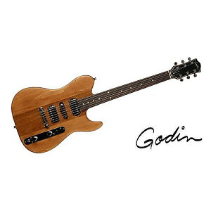 GODIN GUITAR ( S_M^[ ) / RADIUM WINCHESTER BROWN RNċx݃Z[