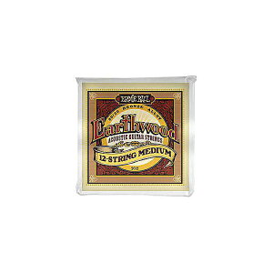 ERNIE BALL ( A[j[E{[ ) / Earthwood 12-String MEDIUMċx݃Z[
