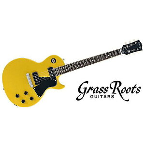 GRASS ROOTS ( OX[c ) / G-LS/TVYċx݃Z[