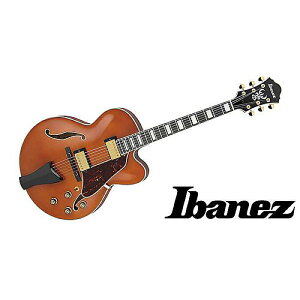 Ibanez ( ACoj[Y ) / AF95-DAċx݃Z[