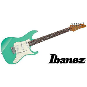 Ibanez ( ACoj[Y ) / AZ2203N-SFGċx݃Z[