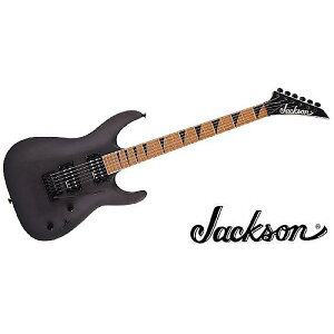 JACKSON ( WN\ ) / JS24 DKAM Black Stainċx݃Z[