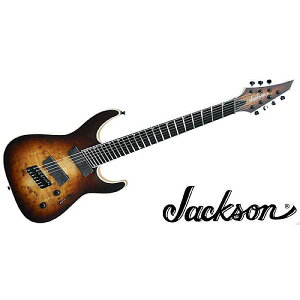 JACKSON ( WN\ ) / Concept Series Soloist SLAT7P HT MS Ebony SBBċx݃Z[