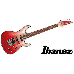 Ibanez ( ACoj[Y ) / SA360NQM-RCGċx݃Z[