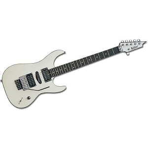 KILLER GUITARS ( L[M^[Y ) / KG-FIDES Custom 22 SWċx݃Z[