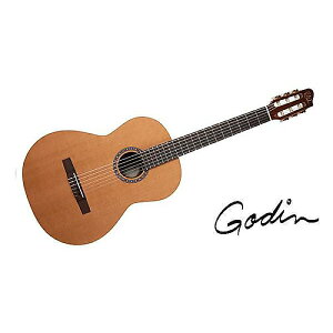GODIN GUITAR ( S_M^[ ) / COLLECTIONċx݃Z[