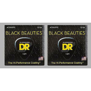 DR ( fB[A[ ) / BKA-12 BLACK BEAUTIES Light 2Zbgċx݃Z[