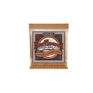 ERNIE BALL ( �A�[�j�[�E�{�[�� ) / EARTHWOOD 12-STRING CUSTOM LIGHT PHOSPHOR BRONZE�ċx�݃Z�[��