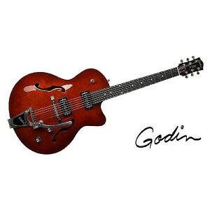 GODIN GUITAR ( S_M^[ ) / 5th Ave Uptown T-Armond Havana Burstċx݃Z[