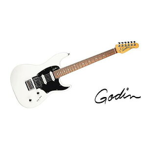 GODIN GUITAR ( S_M^[ ) / SESSION HT TRANSCREAM RNċx݃Z[