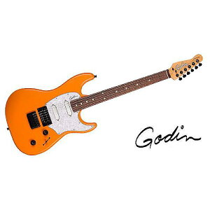 GODIN GUITAR ( S_M^[ ) / Session R-HT Pro Retro Orangeċx݃Z[