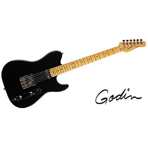 GODIN GUITAR ( ゴダンギター ) / Stadium HT Matte Black MN 【049332】夏休みセール