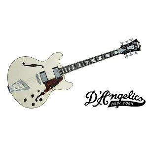 DAngelico ( fBAWFR ) / Premier DC Stairstep Champagneċx݃Z[