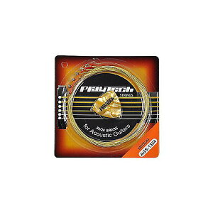 PLAYTECH ( プレイテック ) / AGS-1354 アコースティックギター弦夏休みセール