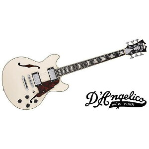 DAngelico ( fBAWFR ) / Premier Mini DC Champagneċx݃Z[