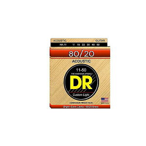 DR ( �f�B�[�A�[�� ) / HA-11 HI-BEAM 80/20 Custom Light�ċx�݃Z�[��