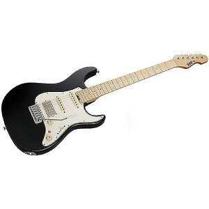 ESP ( C[GXs[ ) / SNAPPER-AS Blackċx݃Z[