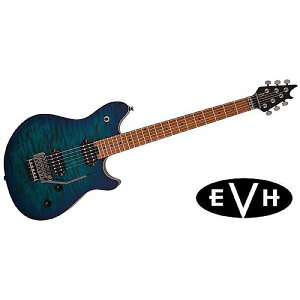 EVH ( C[uCGC` ) / Wolfgang WG STANDARD QUILT MAPLE Chlorine Burstċx݃Z[