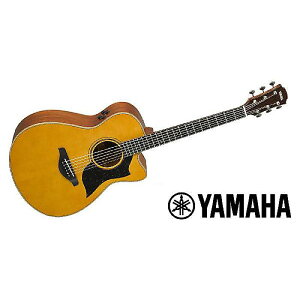 YAMAHA ( }n ) / AC5M ARE VNċx݃Z[