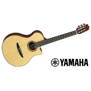 YAMAHA ( }n ) / NTX5 Naturalċx݃Z[