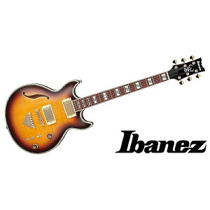 Ibanez ( ACoj[Y ) / AR520HFM-VLSċx݃Z[