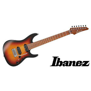 Ibanez ( ACoj[Y ) / AZ24027-TFF 7M^[ċx݃Z[