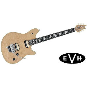 EVH ( C[uCGC` ) / Wolfgang USA NT@GfBE@EwCfċx݃Z[